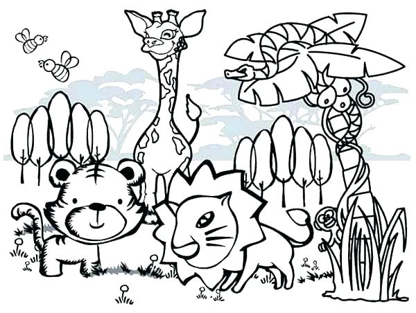 600x452 Rainforest Plants Coloring Pages