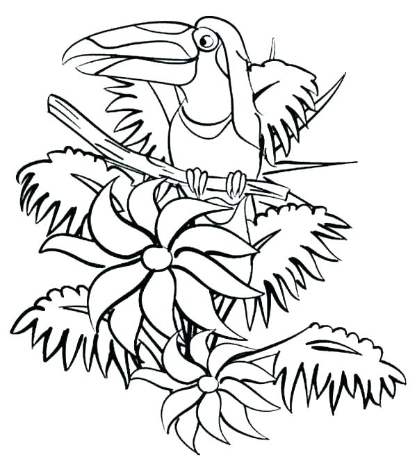 600x674 Rainforest Coloring Page Jungle Coloring Pages Coloring Kids