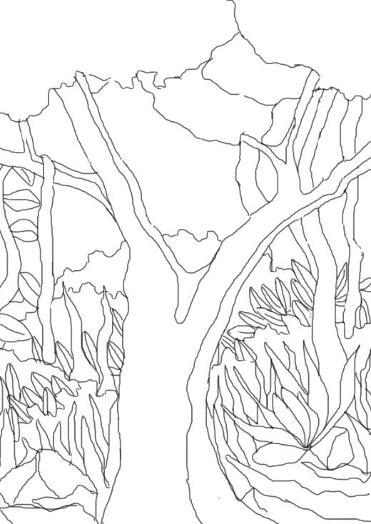 520x735 Rainforest Coloring Pages