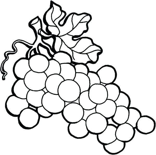 600x597 Grapes Coloring Page Grapes Coloring Page Wine Grapes On The Vine