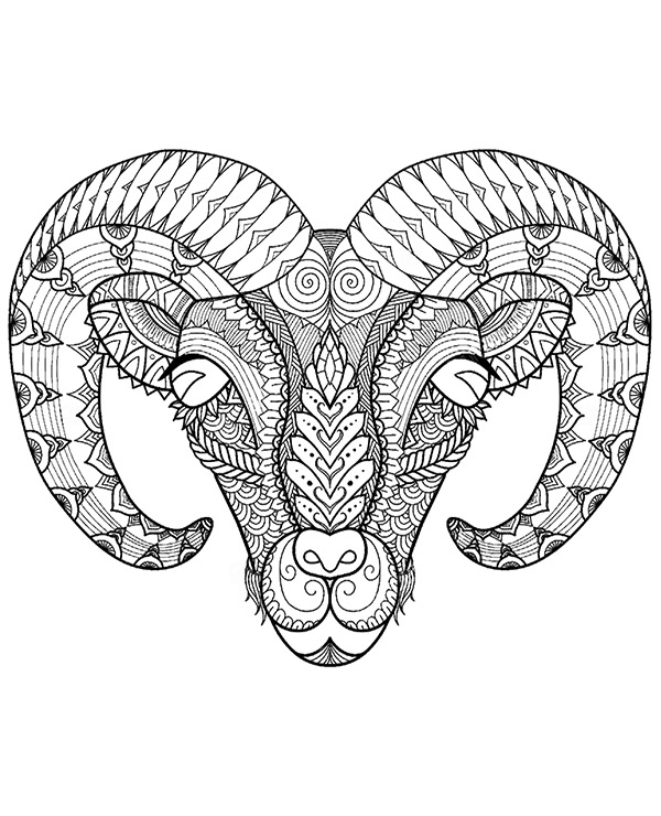 600x740 Muflon, Ram Coloring Page For Adults Free To Print And Color
