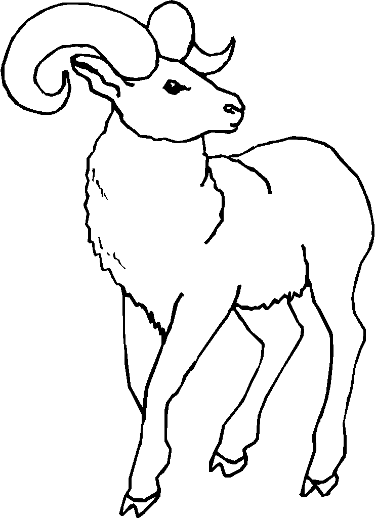 741x1024 Ram Coloring Page Printable