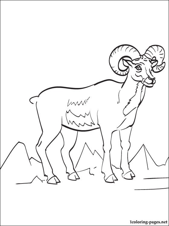 560x750 Ram Printable And Coloring Page Coloring Pages