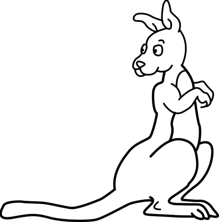 739x750 Randy Orton Coloring Pages Coloring Pages Info Kangaroo Coloring