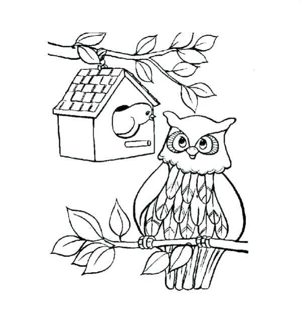 599x649 Cute Owl Coloring Pages To Print For Adults Web Art Gallery Owls