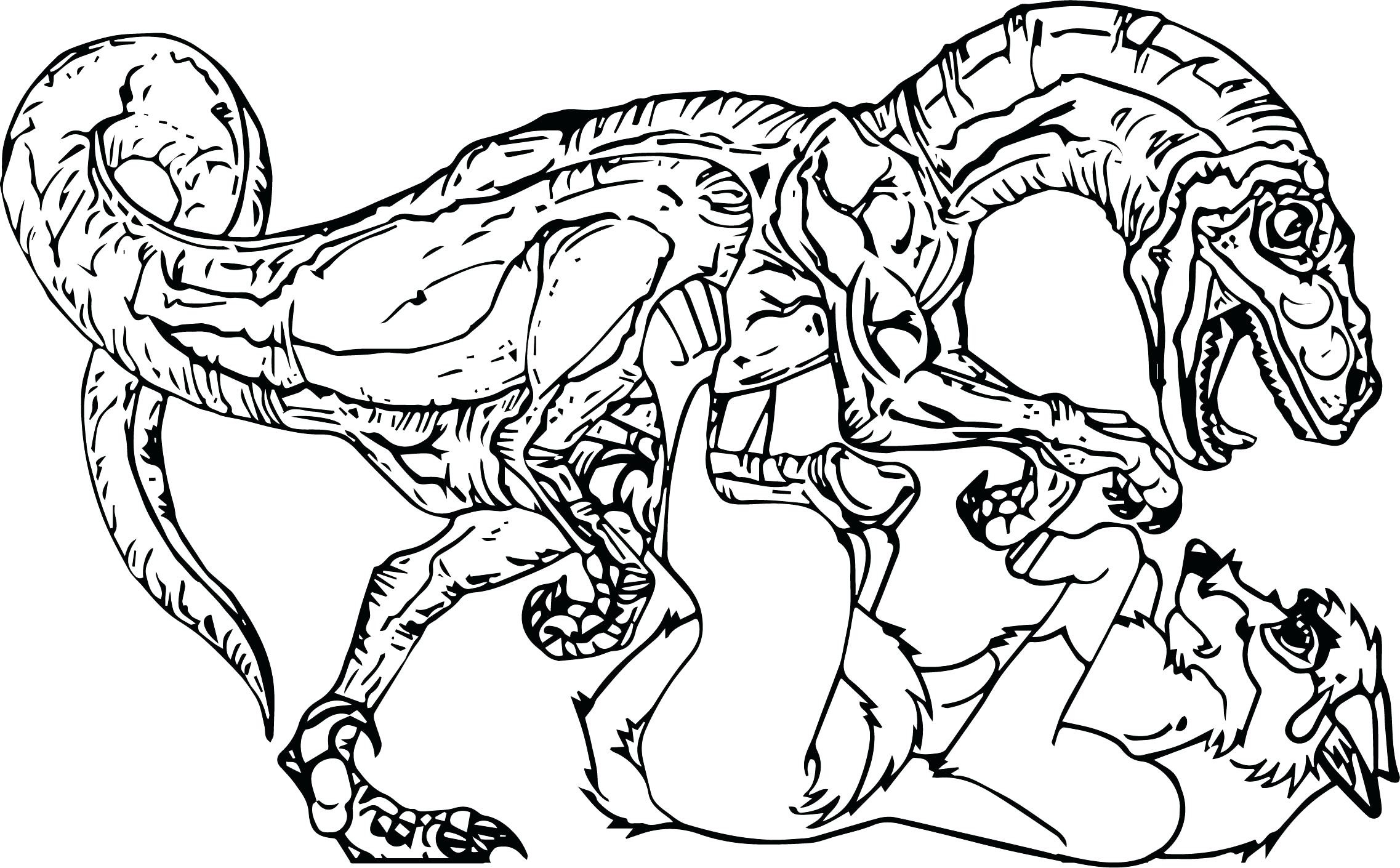 2274x1410 Raptor Coloring Page Acpra