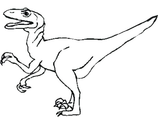 504x375 Dinosaur Coloring Pages Kids Lego Raptor Page Murs