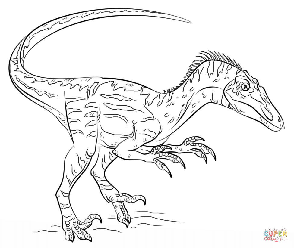 975x824 Velociraptor Coloring Pages