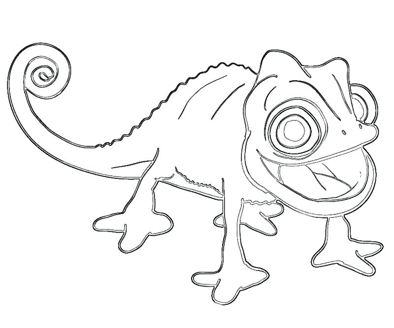 800x667 Disney Tangled Pascal Coloring Pages Printable Many Interesting