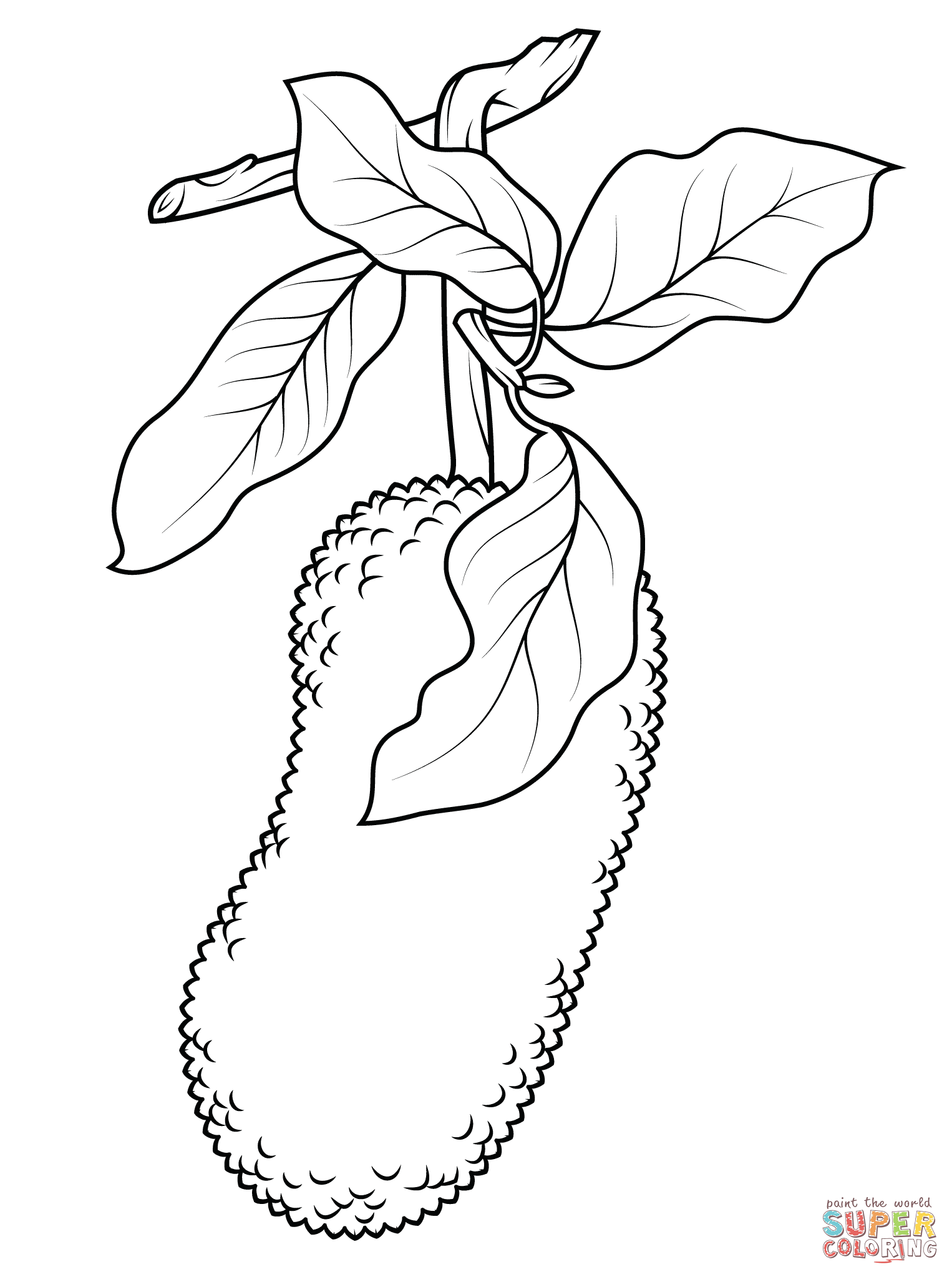 1526x2046 Immediately Blackberry Coloring Page Raspberry With Flowers Fruits