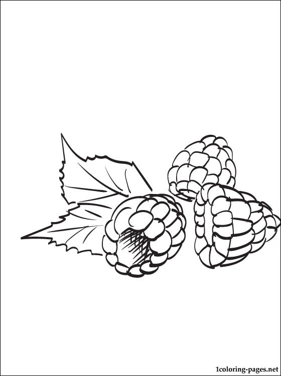 560x750 Raspberry Coloring Page Coloring Pages