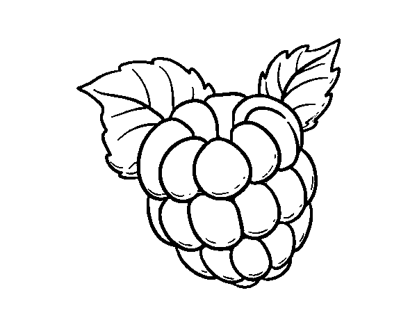 600x470 Super Cool What Color Is Raspberry Coloring Page
