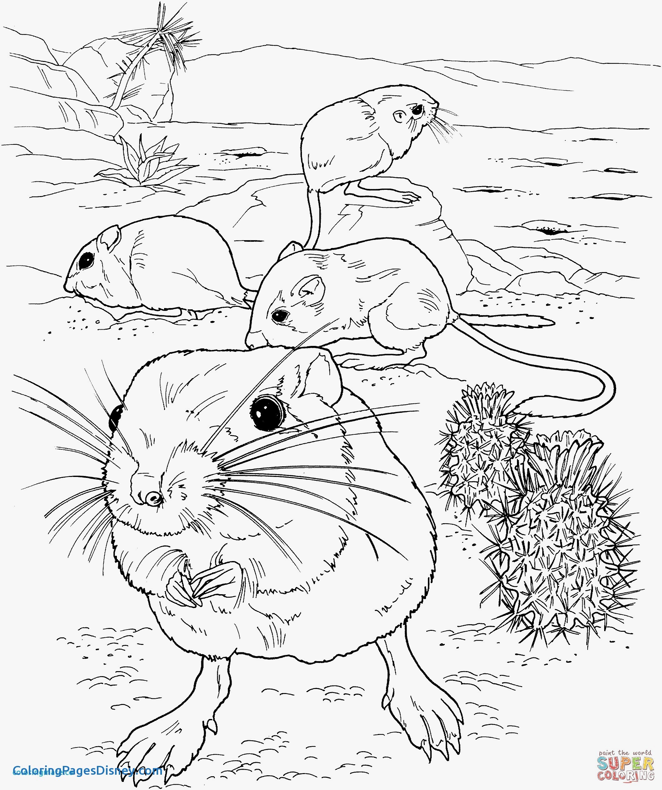 2118x2526 Kangaroo Rat Coloring Pages Lovely Rat Coloring Pages New Giant