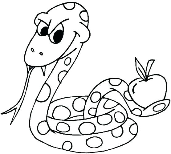 555x500 Ball Python Coloring Pages Medium Size Of Rattlesnake Coloring