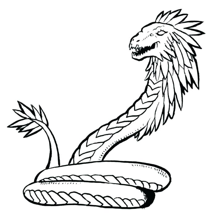 687x700 Snake Coloring Page