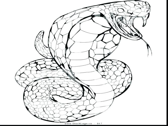 Rattlesnake Coloring Page at GetDrawings | Free download