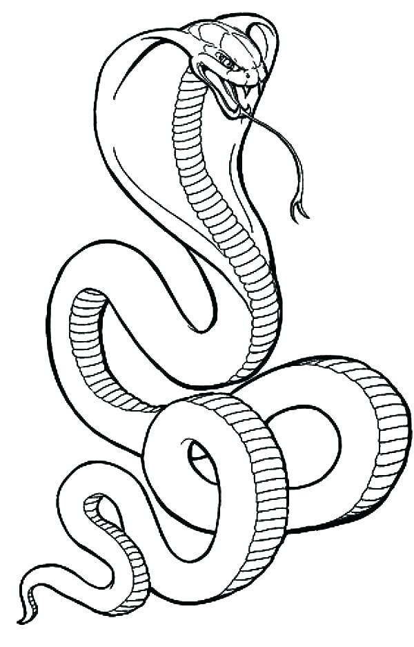 600x937 Coloring Page Snake Trend Coloring Pages Snakes Fee Of Download