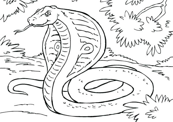 600x425 Coloring Pages Snake Fresh Snake Coloring Pages To Print Image