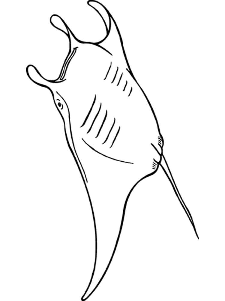 750x1000 Ray Coloring Pages Download And Print Ray Coloring Pages