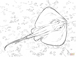 300x225 Sawfish And Electric Ray Design Coloring Page