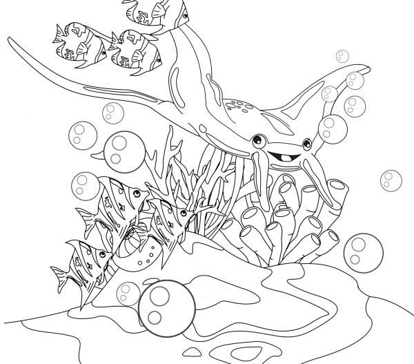 600x527 School Of Manta Ray Coloring Pages Coloring Sun