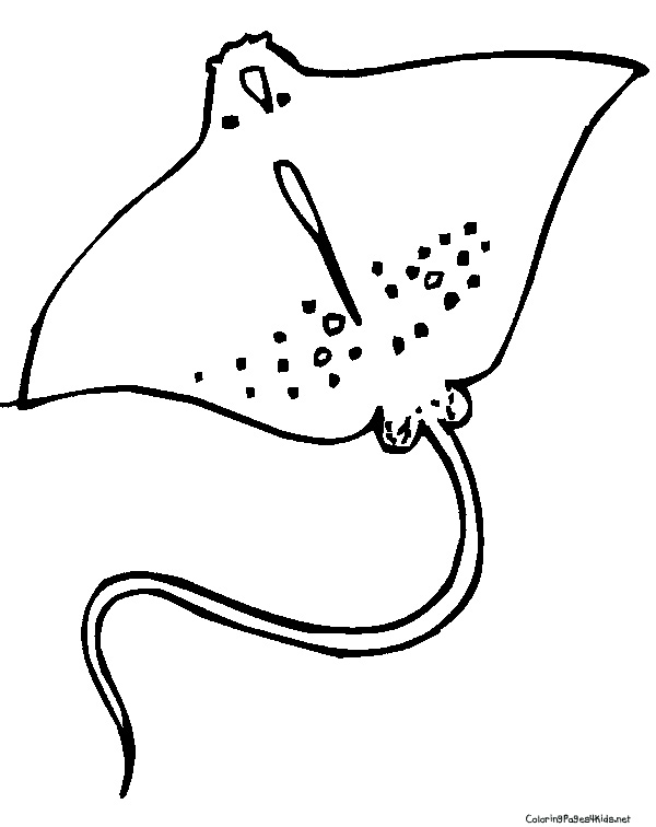 600x756 Stingray Coloring Pages