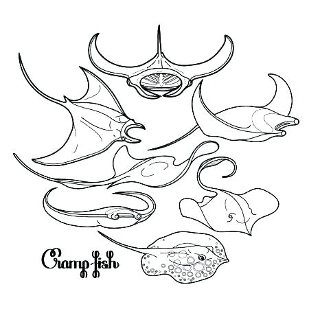 450x450 X Ray Fish Coloring Page Swordfish Coloring Page X Ray Fish