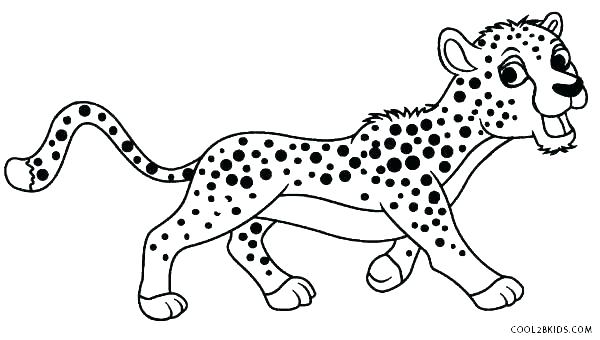 Real Animal Coloring Pages at GetDrawings | Free download