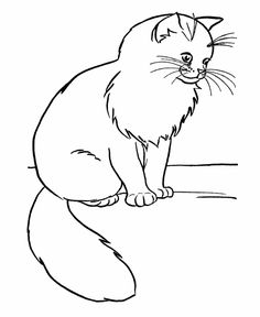 236x288 Printable Realistic Cat Coloring Pages