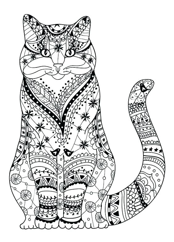 564x786 Tabby Cat Coloring Pages Cats Coloring Pages Realistic Cat