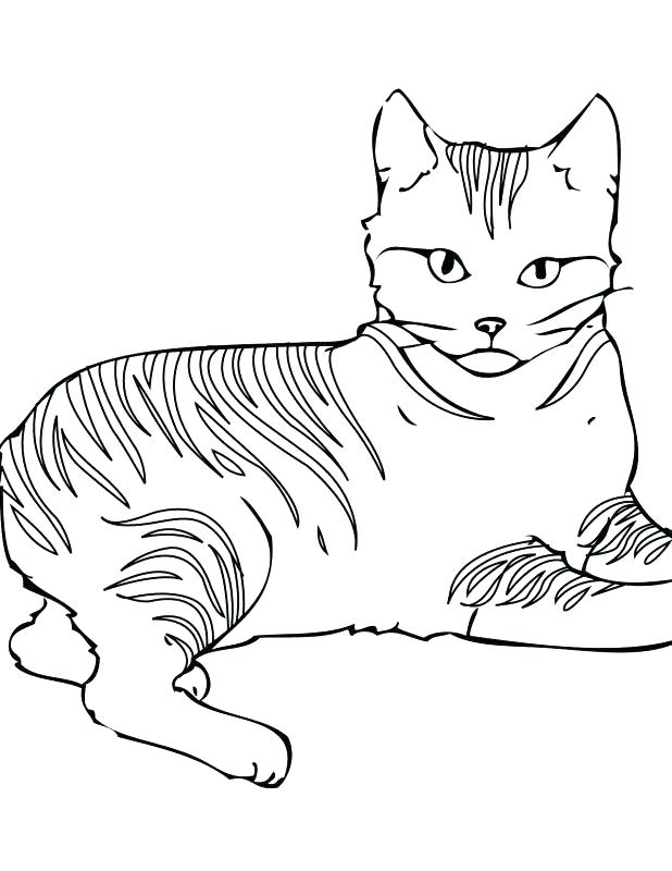 618x800 Cartoon Cat Coloring Pages Printable