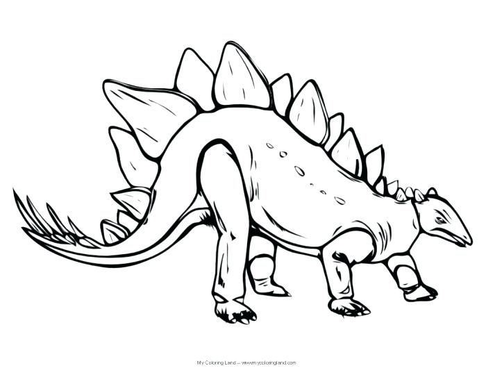 700x540 Stegosaurus Coloring Page Realistic Dinosaur Coloring Pages