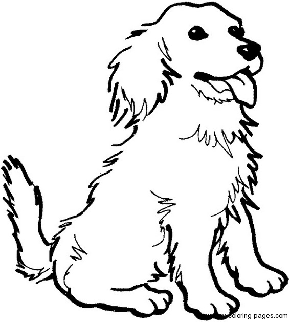 567x629 Picture Of Dog To Color Color Pages Of Dogs Realistic Coloring