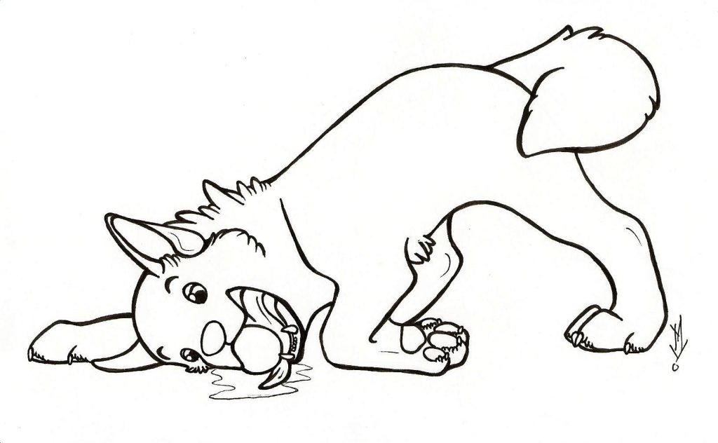 1024x632 Realistic Dog Coloring Pages
