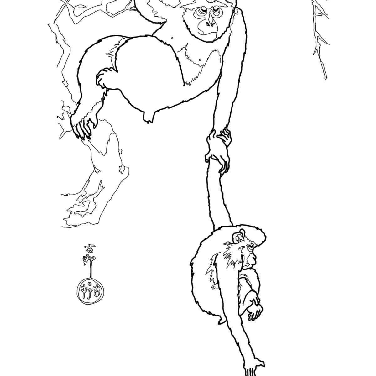 1200x1200 The Best Excellent Emperor Tamarin Monkey For Kids Black Handed