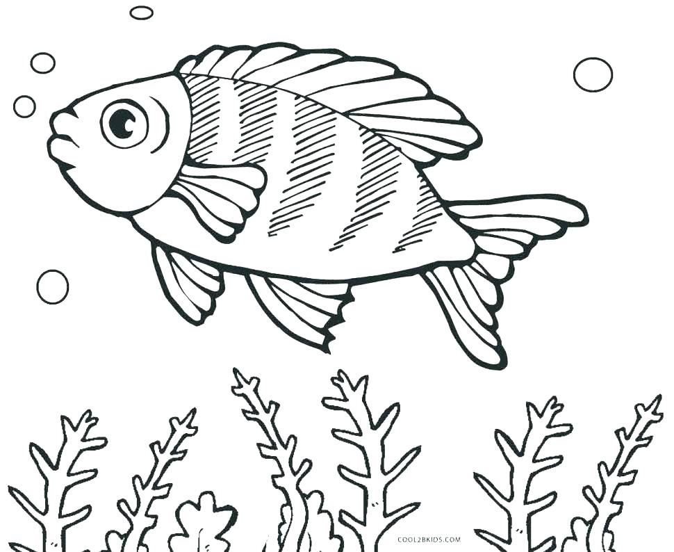 970x794 Cartoon Fish Coloring Pages Tropical Fish Coloring Pages Tropical