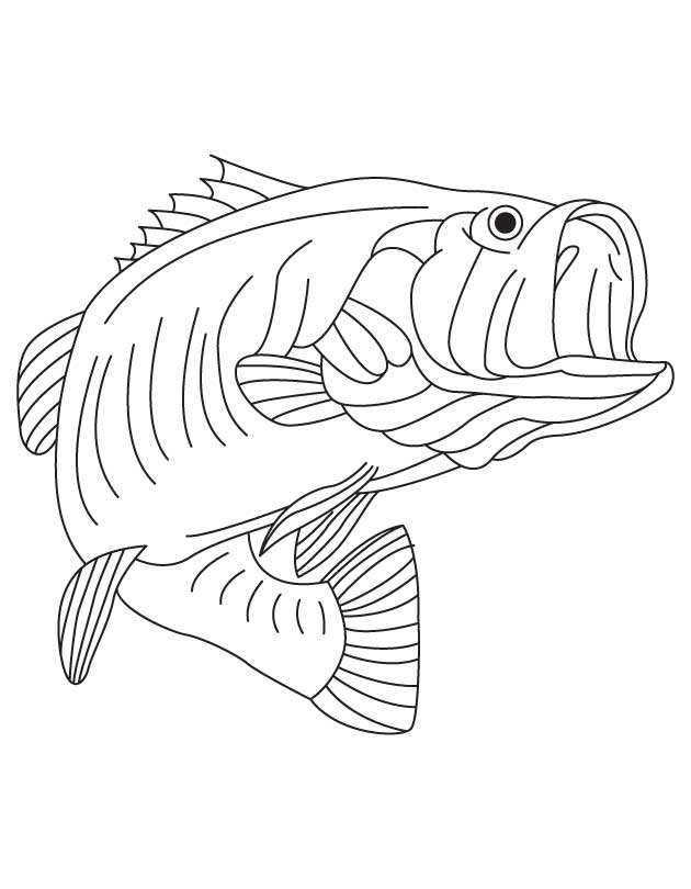 630x810 Freshwater Fish Coloring Pages