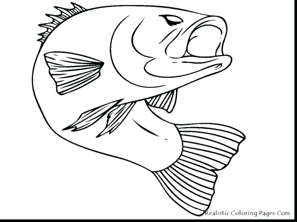 970x727 Tropical Coloring Pages Tropical Coloring Pages New Puffer Fish