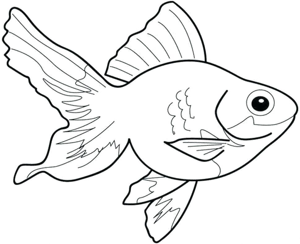 970x790 Color Pages Of Fish Fish Coloring Book Together With Color Fish