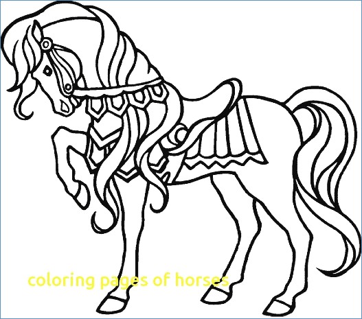 527x465 Horse Coloring Pages Advanced