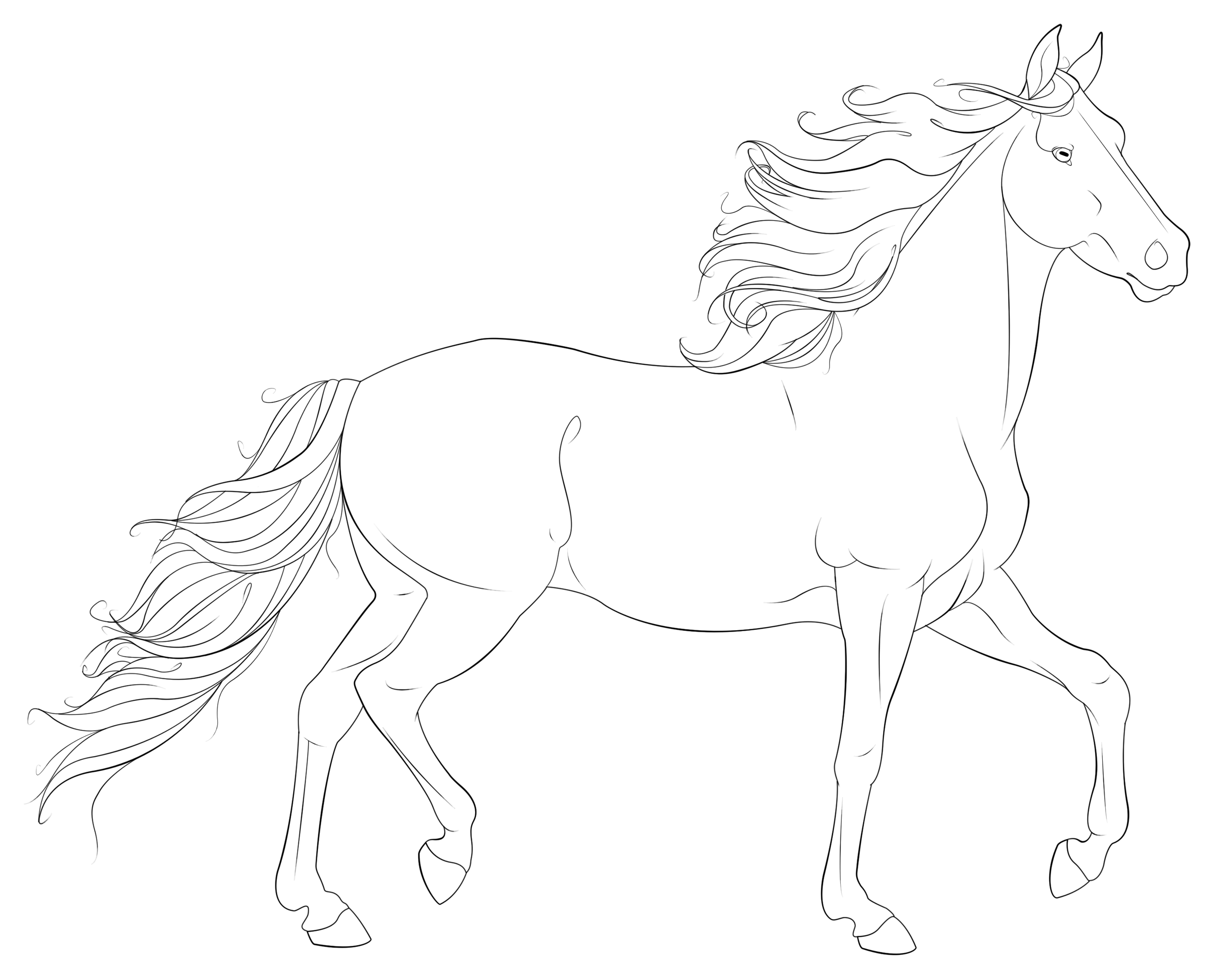 2500x2017 Realistic Horse Coloring Pages