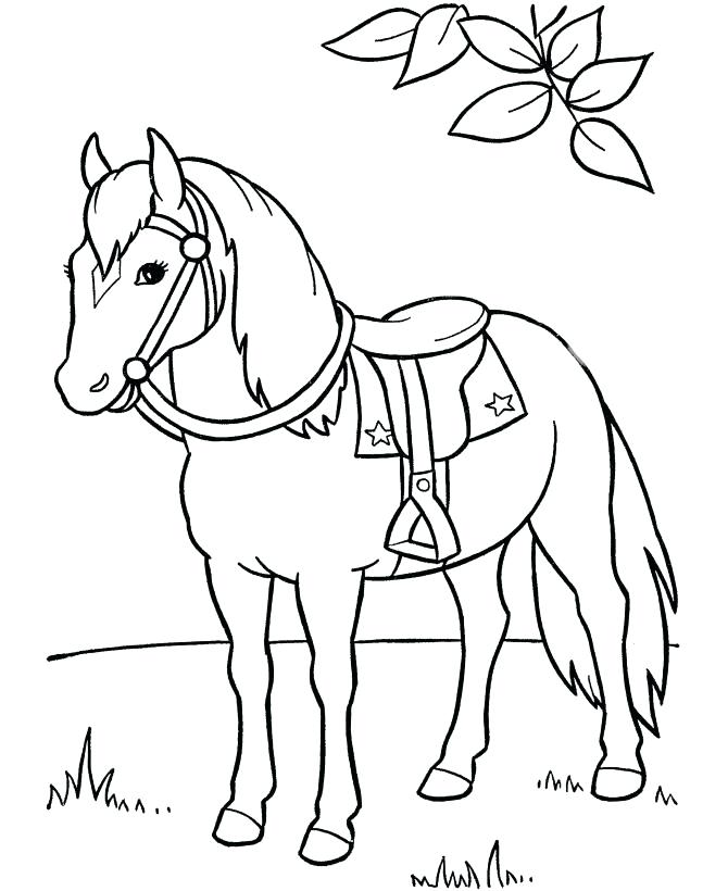 670x820 Coloring Pages Of Horses And Ponies Animal Coloring Pages Horse