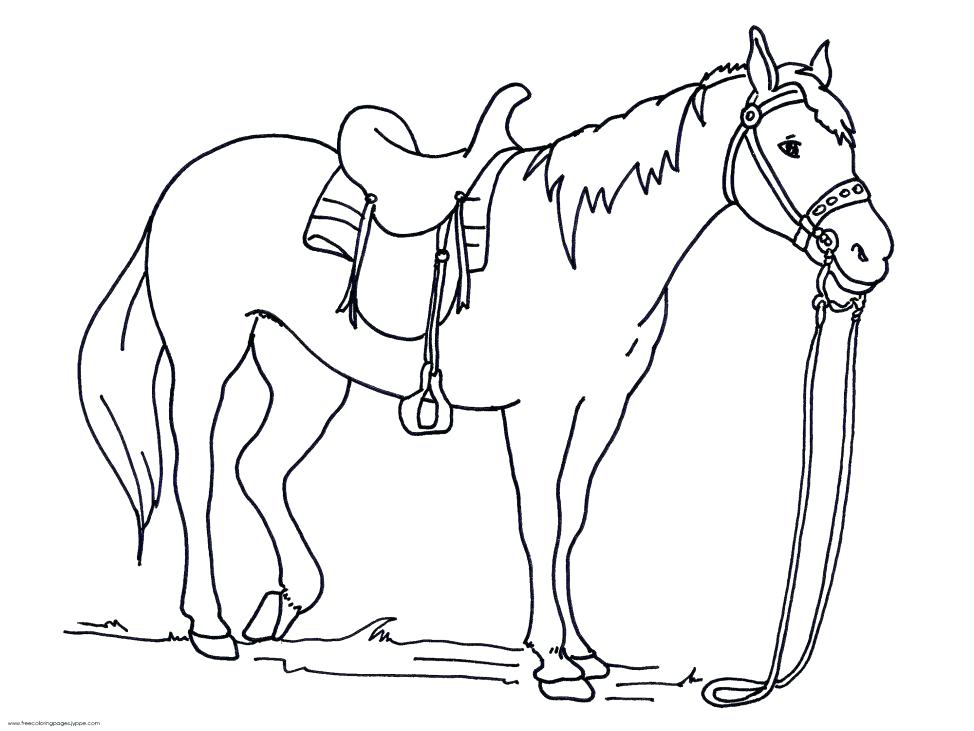 974x731 Coloring Pages Of Horses Large Size Of Coloring Pages Horses Real