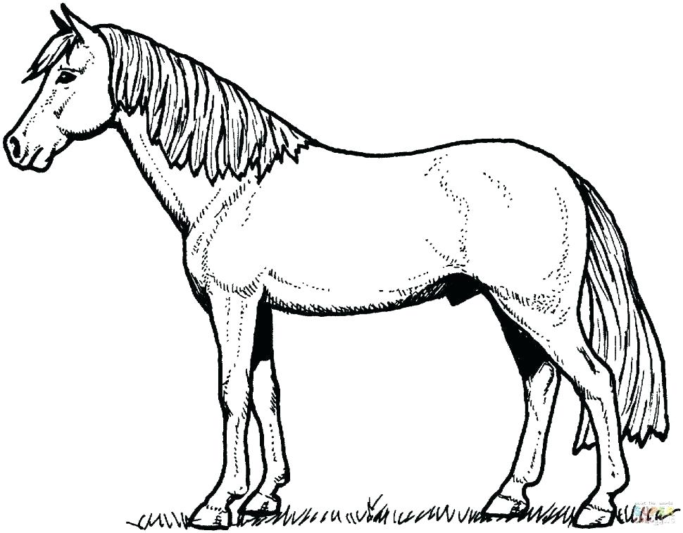 970x757 Coloring Pages Of Horses Printable Also Horses Coloring Pages