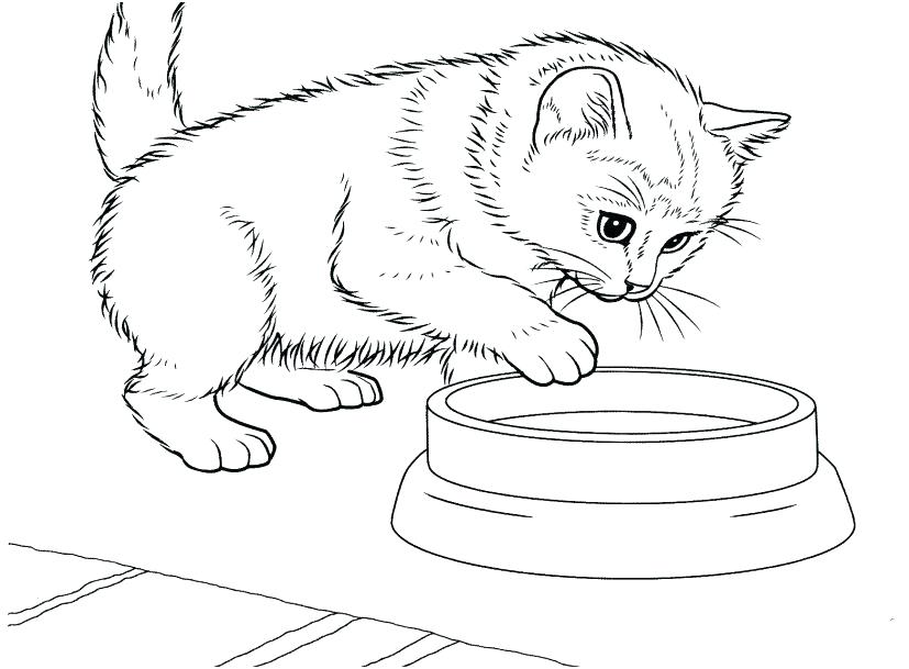 827x609 Realistic Cat Coloring Pages Cats Coloring Pages Cat Coloring