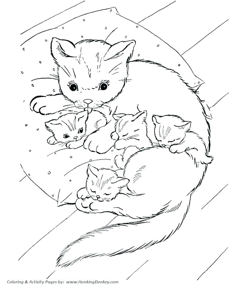 784x960 Kitten Coloring Page