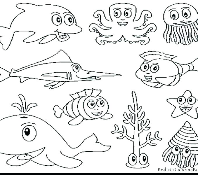 678x600 Coloring Pages Sea Animals Ocean Coloring Pages Sea Animal