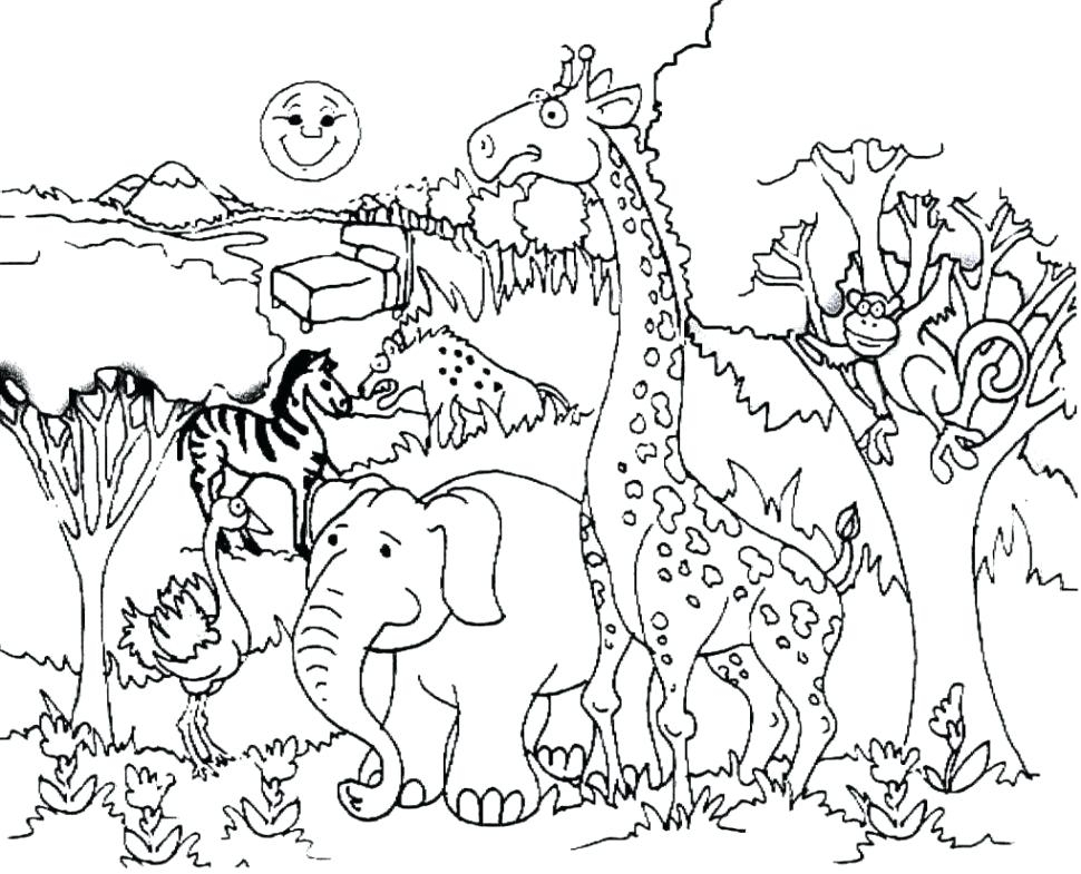 970x785 Forest Animals Coloring Pages Forest Animal Coloring Pages Real