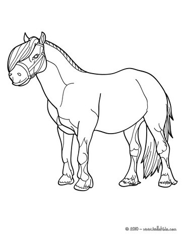 363x470 Pony Coloring Pages