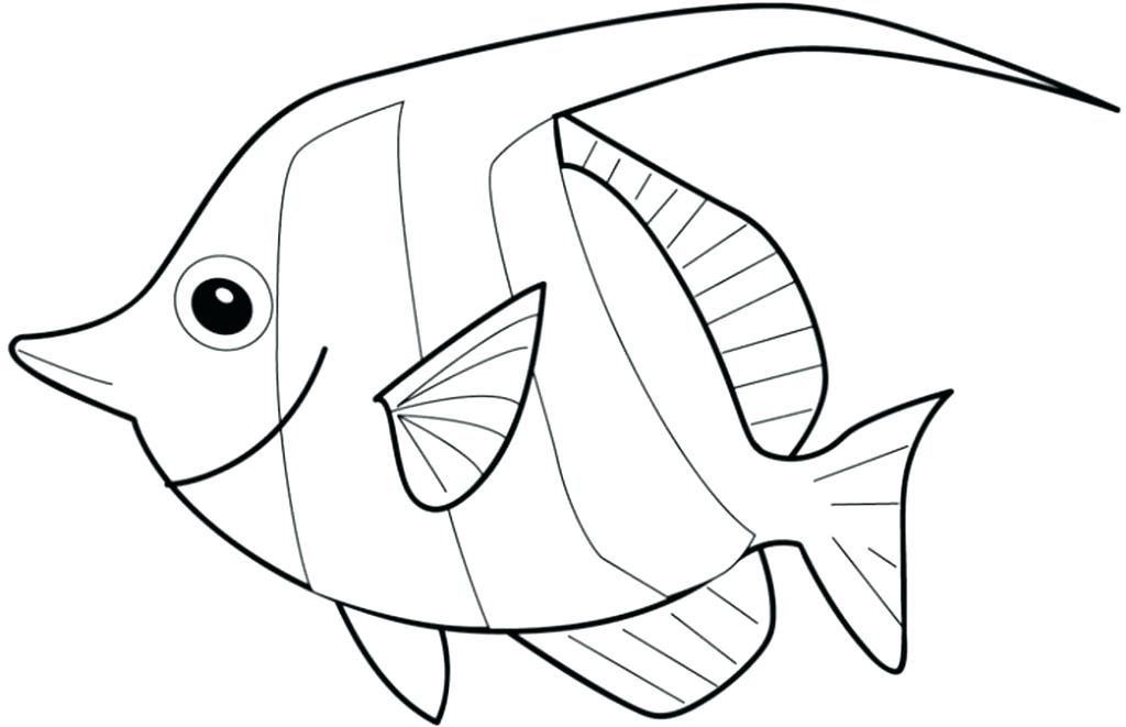 1024x661 Ocean Fish Coloring Pages Fish Color Pages Angel Coloring